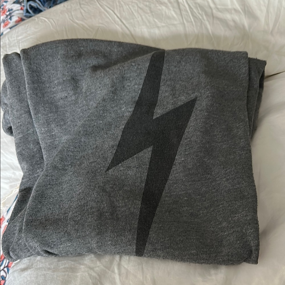 Gray bolt Aviator Nation sweatpants Medium